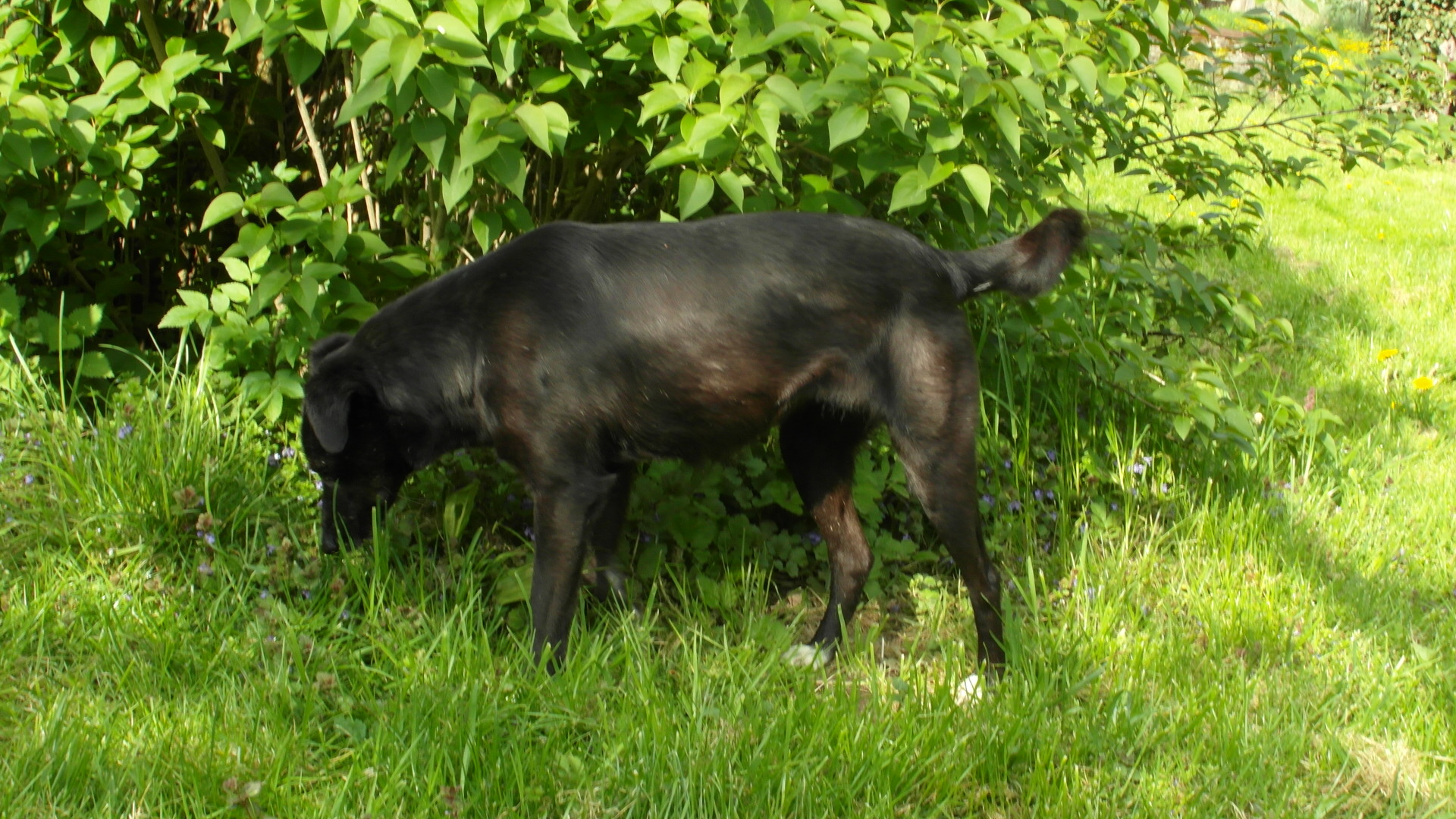 Coco9.JPG (1920 x 1080)